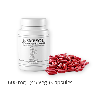 REMESOL Natural Joint Support Formula Product 2