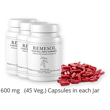 REMESOL Natural Joint Support Formula Product 1